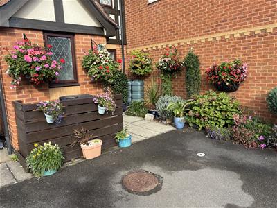 Picture 25